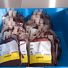 Arranging blood donation camps